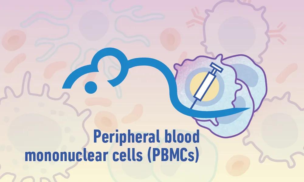 Immune Cell Humanized Mouse Models: PBMC Engrafted Mice