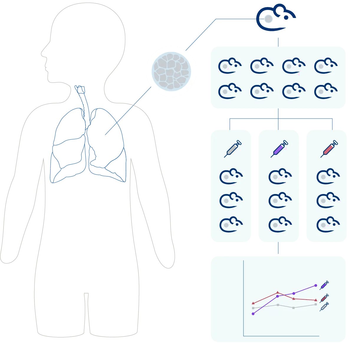 JAX - Patient-Derived Xenograft (PDX) Models & Studies