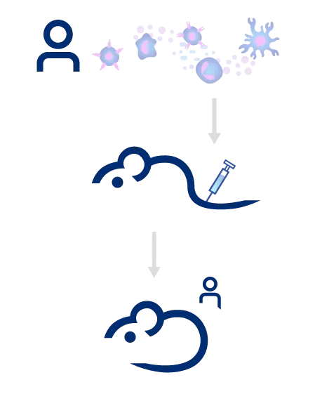 JAX Immune Humanized Mouse Models