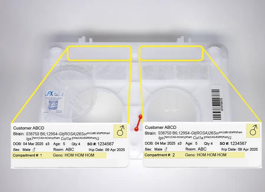 Peel and stick labels that identify animals in each compartment of the container; labels can be reused on cage cards