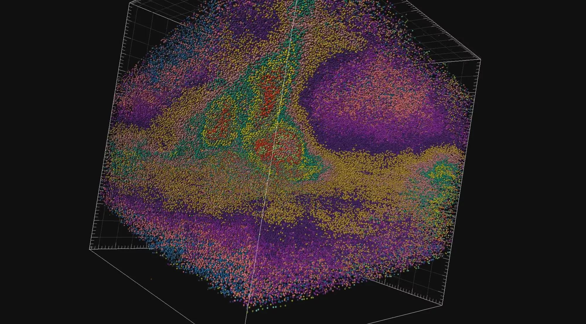 Rendering of mouse lung tissue based on light sheet microscopy imaging. Credit: The Palucka Lab.