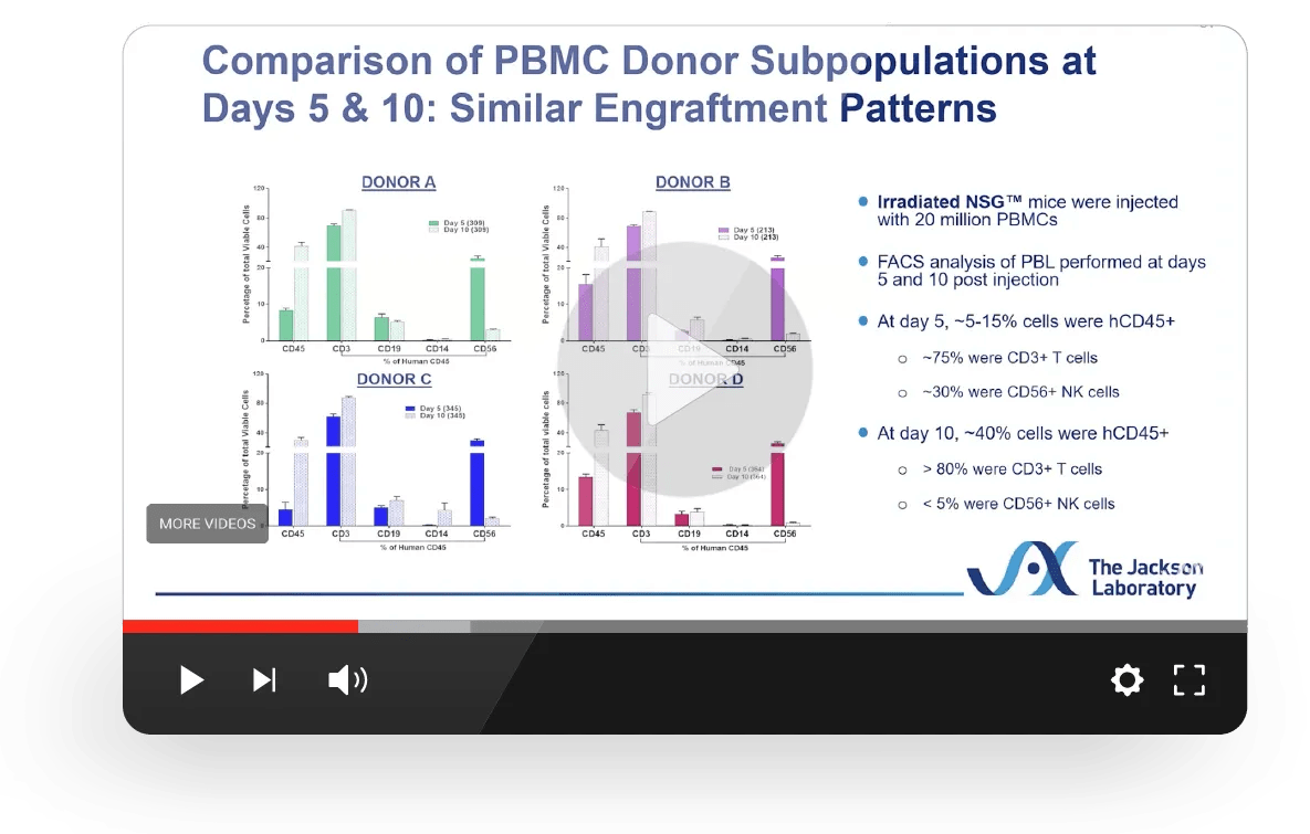 Advancing Immunotherapy Research with PBMC-Engrafted NSG* Models