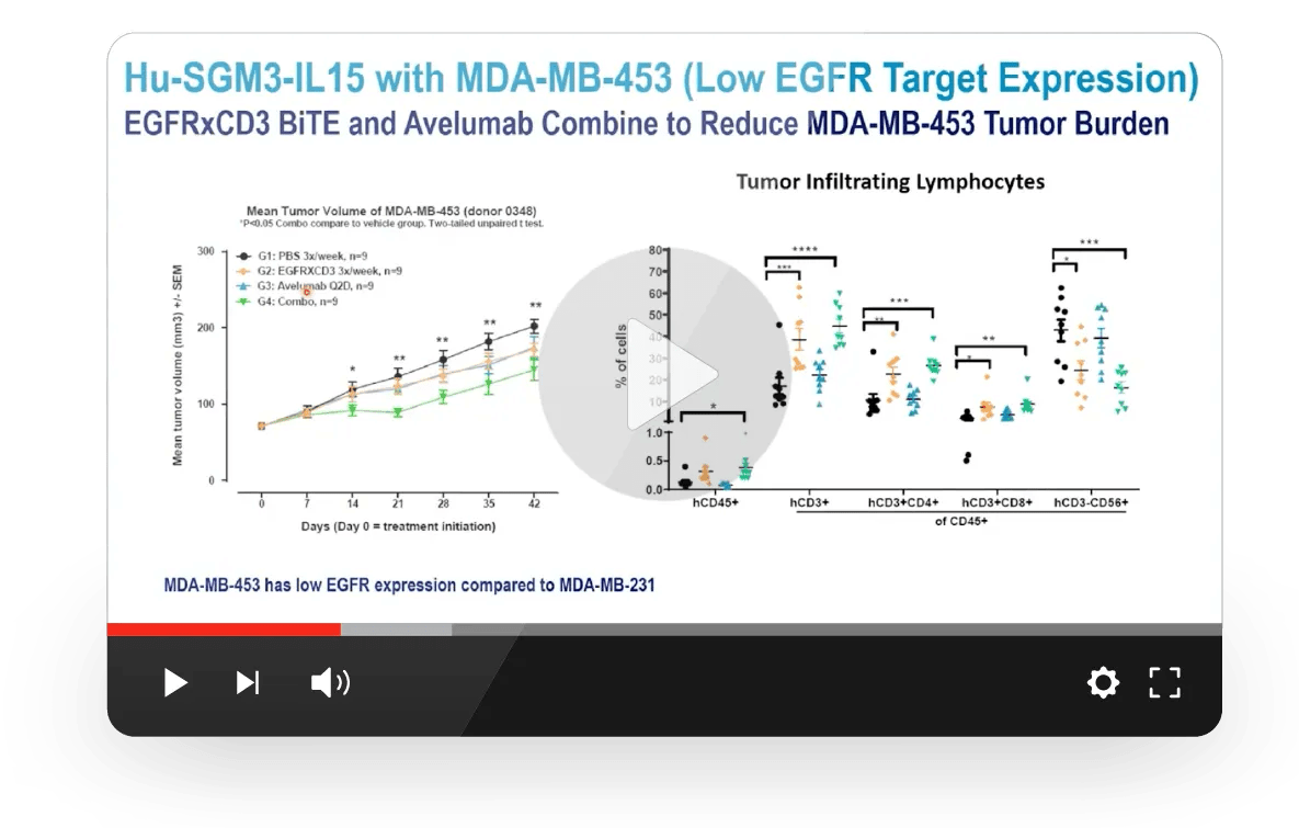 Next-Gen Immune-Humanized Models for Antibody Drug Development