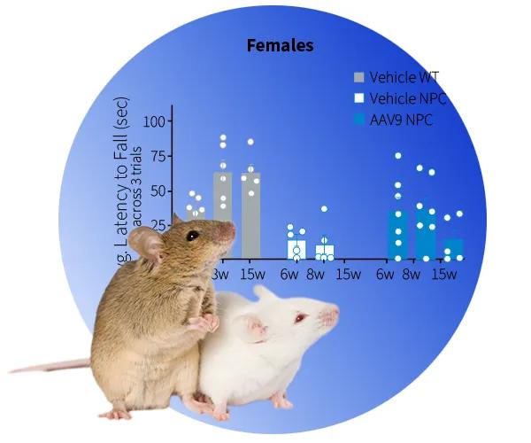 The Jackson Laboratory - Lysosomal Storage Disorders Mouse Models and Efficacy Studies