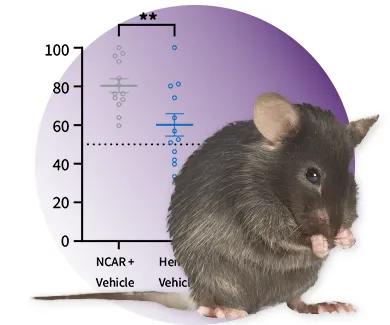The Jackson Laboratory - Preclinical Alzheimer's Disease Models and Efficacy Studies