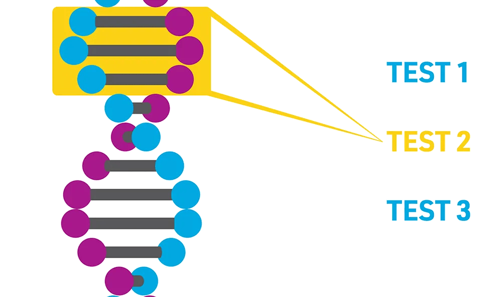 3 Things to Know About Genomic Tumor Test Selection
