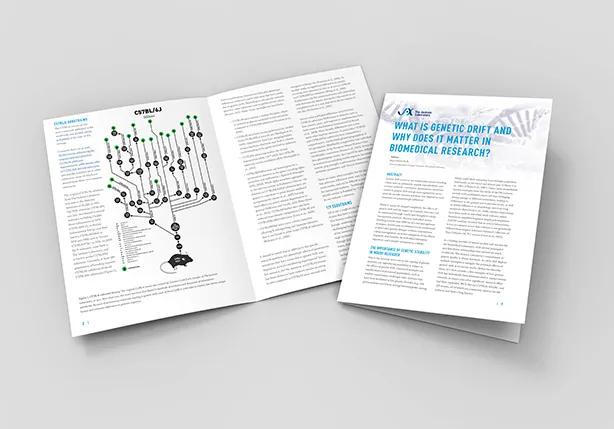 JAX Whitepaper - Strategies To Minimize Genetic Drift And Maximize Experimental Reproducibility In Mouse Research