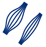 JAX Neuroscience Assays & Services - Neuromuscular & Electrophysiology Expertise