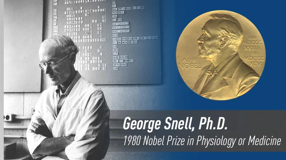 A JAX ‘homecoming’ for George Snell’s Nobel Prize