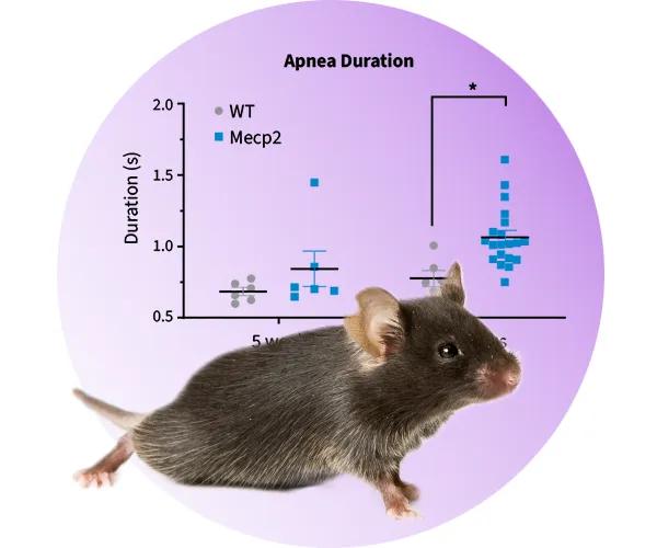 The Jackson Laboratory - Neurodevelopmental Disease Models and Efficacy Studies