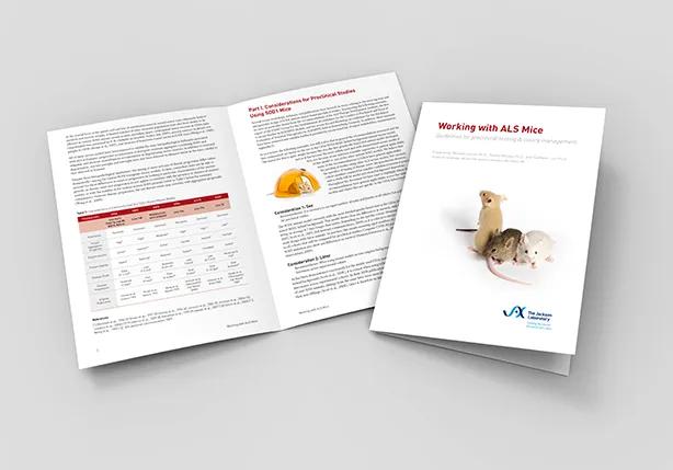 Working with ALS Mice: Guidelines for Preclinical Testing and Colony Management