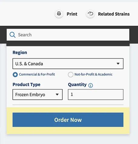 JAX Mouse Search - Place your order