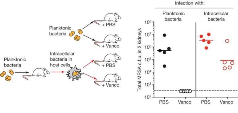 mrsa-infection chart