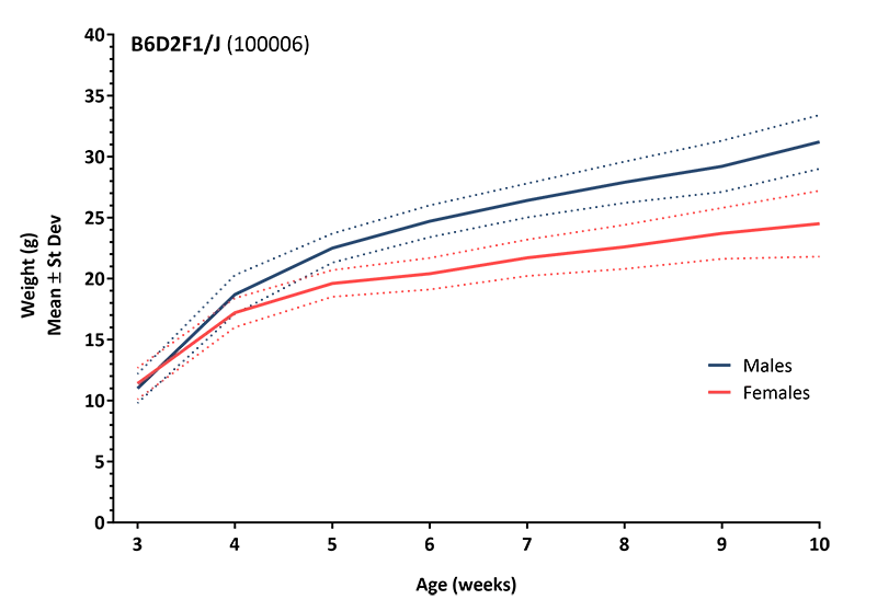 Body Weight Information for JAX® Mice Strain B6D2 (100006)