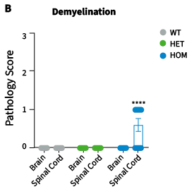 Lysosomal Storage Models and Studies | The Jackson Laboratory