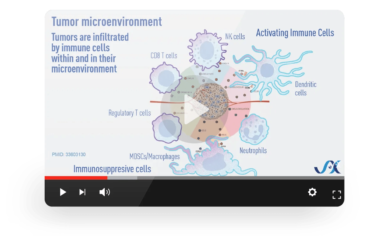 How-to Guide for Selecting Xenografts & Mouse Models for Preclinical Cancer Research