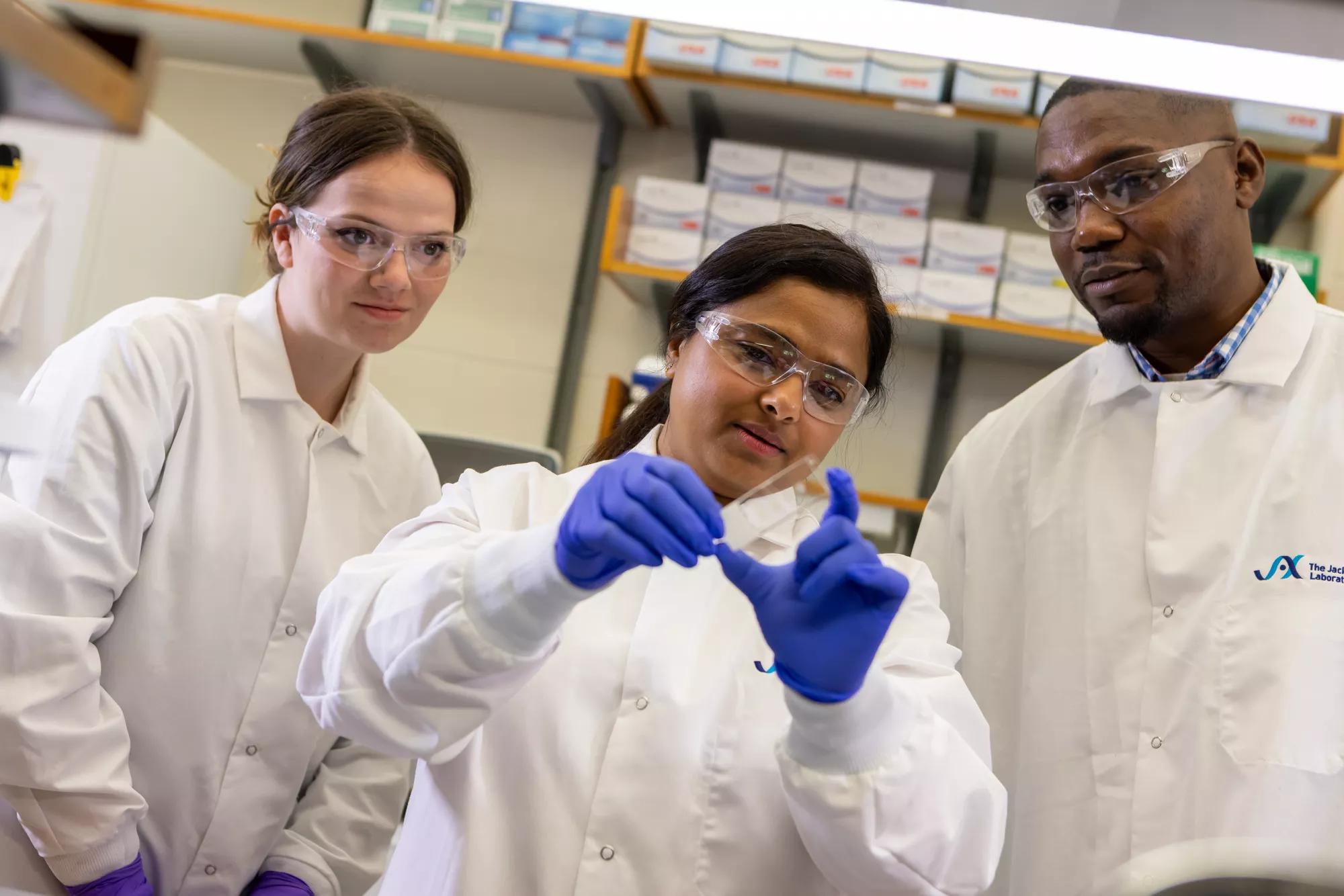 From left: Predoctoral Associate Kiley Martin; Assistant Professor, Mary Teena Joy, Ph.D.; and Postdoctoral Associate Michael Alasoadura, Ph.D.(2023).