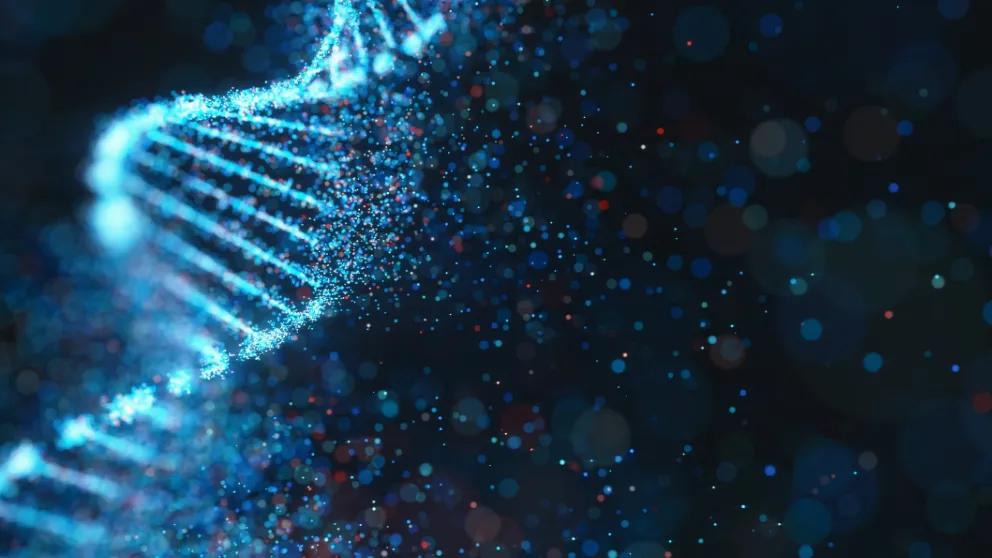 Why it took 2 years for a Harvard research lab to get back to research