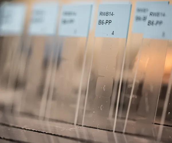PDX FFPE Slides - Unstained Single Section