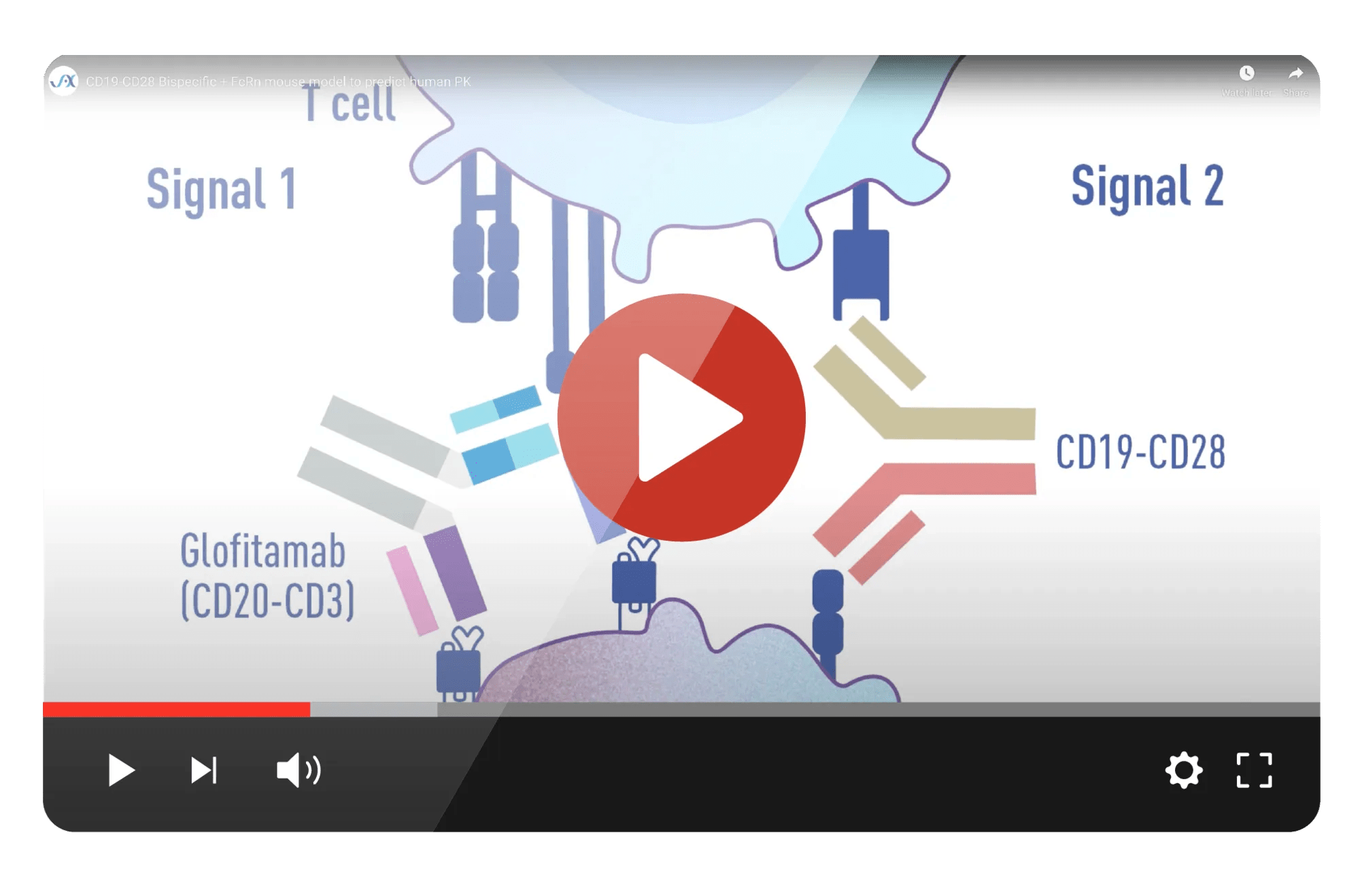 JAX Humanized Mice PubCast: Roche Case Study - CD19-CD28 Bispecific + FcRn mouse model to predict human PK