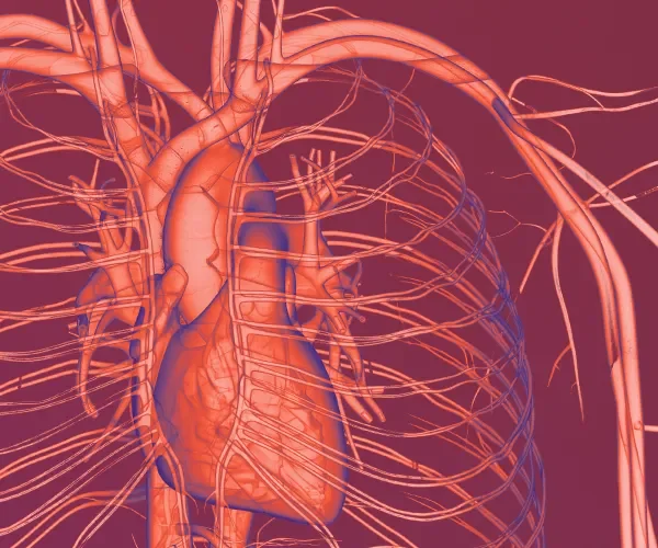 Cardiovascular - Page Tile