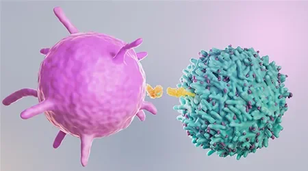 JAX researchers unveil method to map immune cell connections, predicting patient survival in cancer