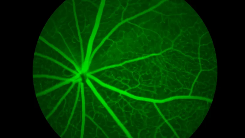 More than meets the eye - Page Tile - Article