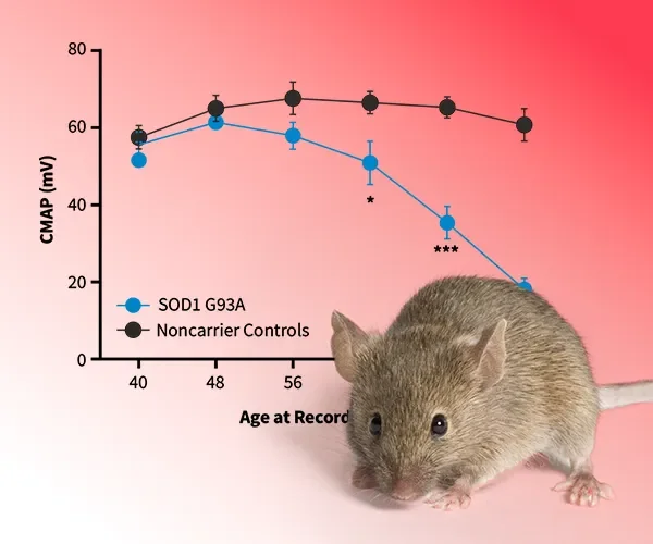 ALS Models & Studies