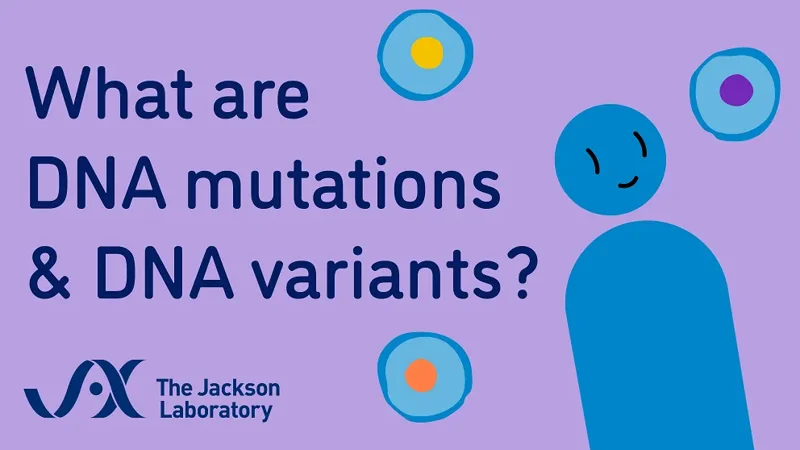 What are DNA Variants?