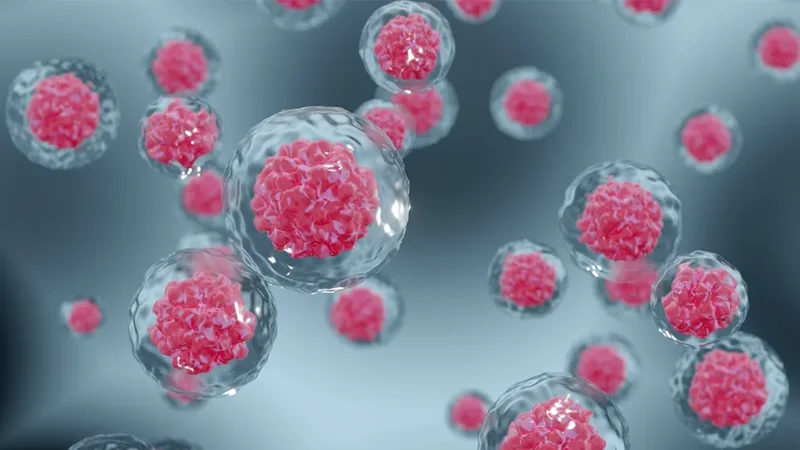 Mouse Embryonic Stem Cells - Page Tile