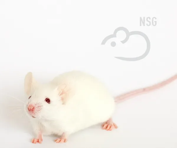 NSG® Variants Portfolio