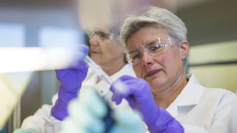 Knowlton Family Chair image