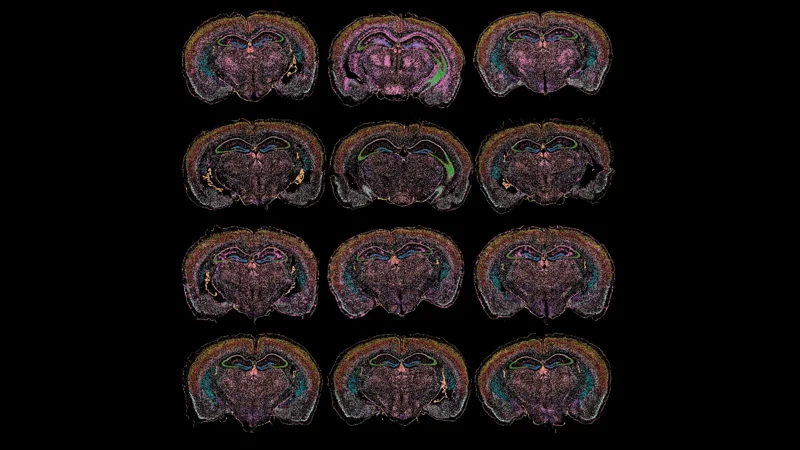 *Alzheimer’s & Dementia - page tile