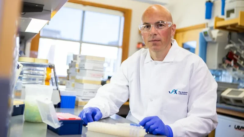 Evnin Family Chair image