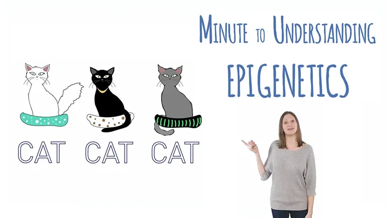 What is Epigenetics?