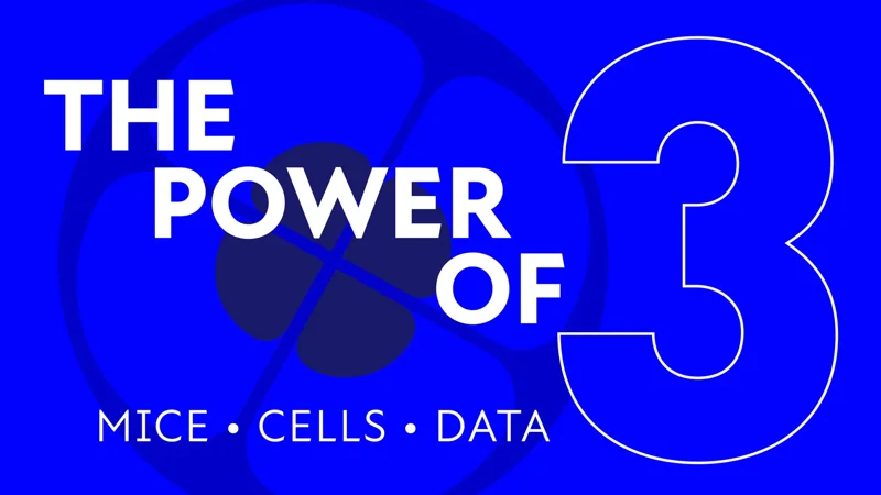 NYSCF Landing Page - Page Tile 2