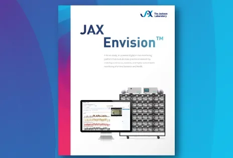 JAX Envision Summary