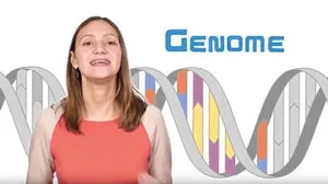 Genetics vs. Genomics