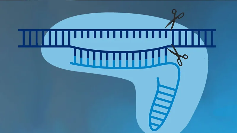 Basics of CRISPR/Cas9