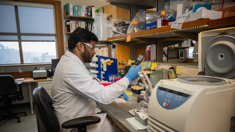 Postdoctoral Training