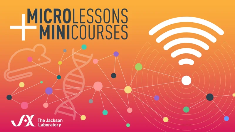 Online MicroLessons & MiniCourses