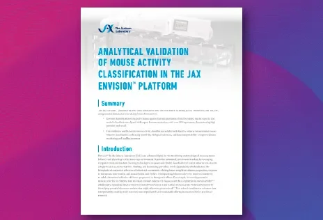 Mouse Activity Classification