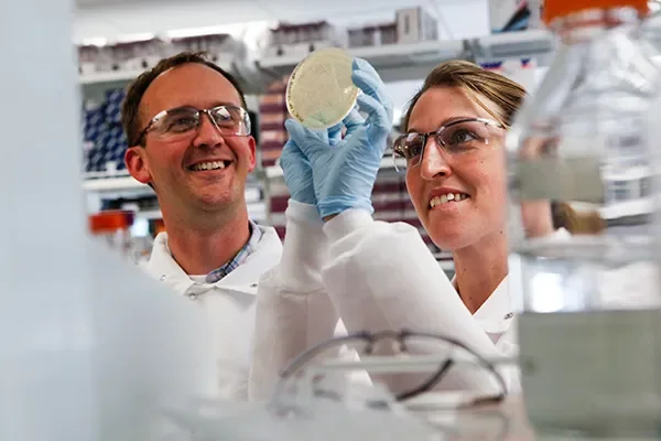 Diabetes research - Page Tile