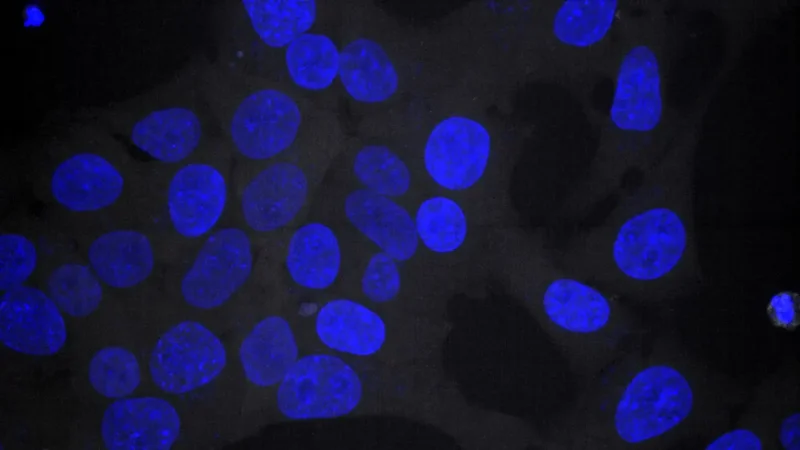 The Jackson Laboratory’s Bill Skarnes wins top international prize in transgenic science - Page Tile 1