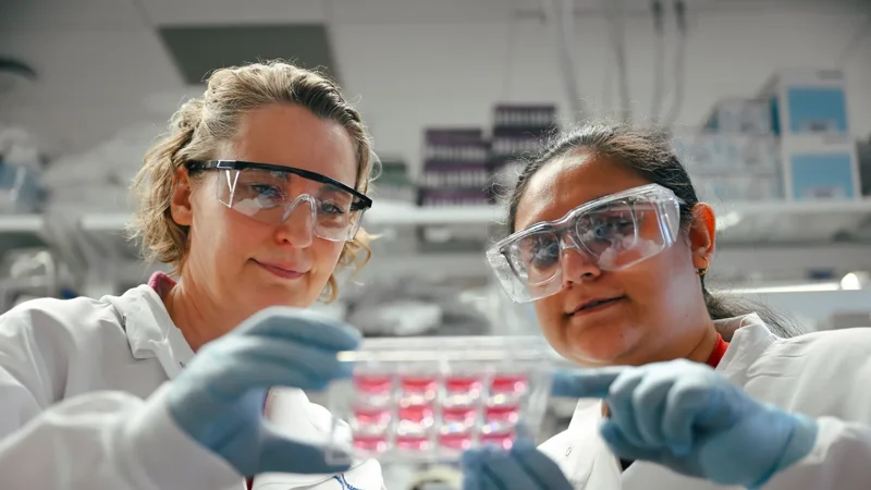 Target behind cancer drug shown to help fight influenza in mice - Page tile