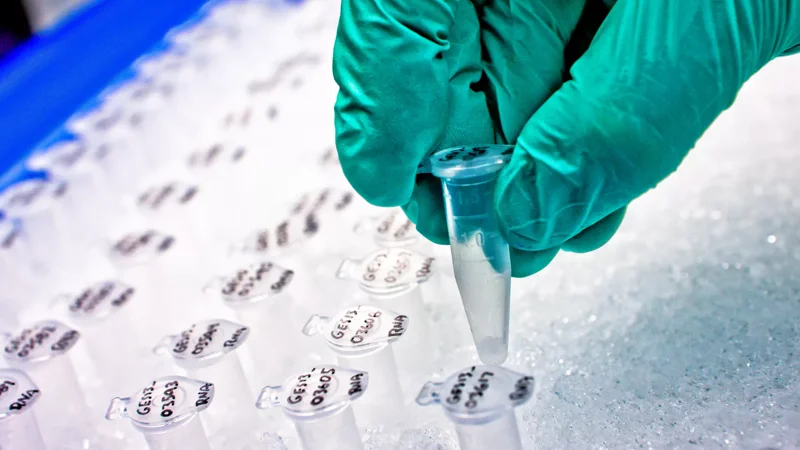 Research & development core