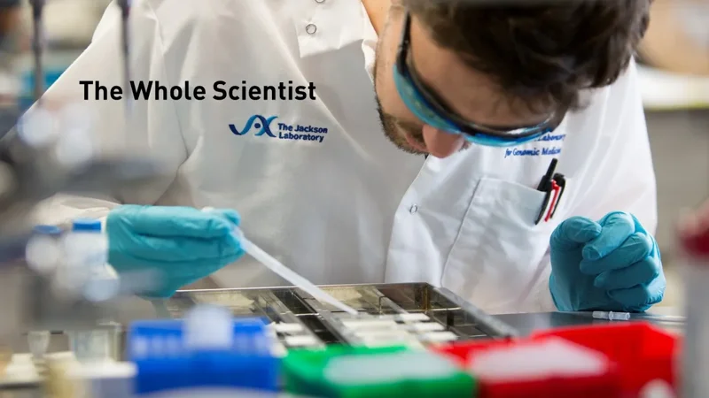 Mentoring and Career Development