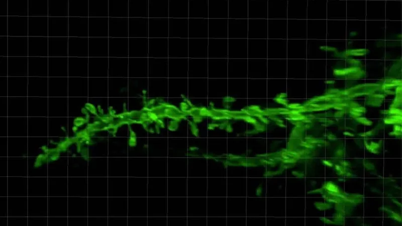 Could this AI tool help biomedical scientists study lab mice behavior? - Page Tile 1