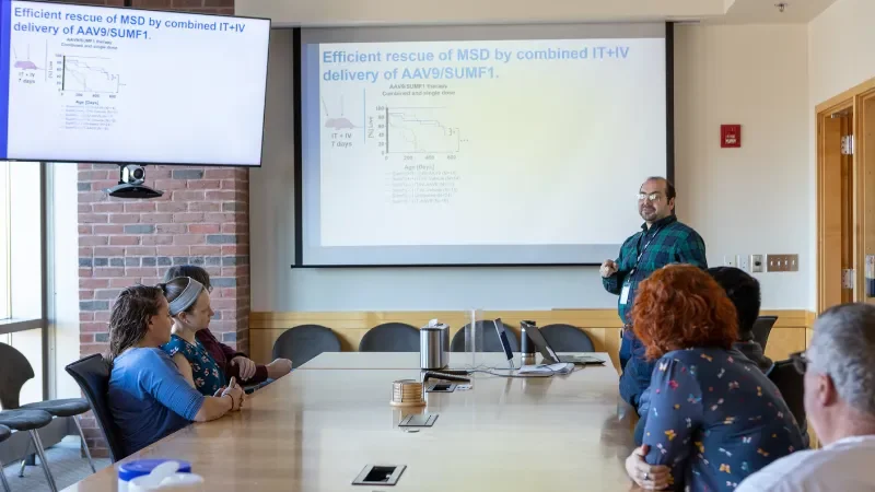 What “The Zebra and the Bear” teaches us about collaboration in rare disease - Page Tile 2