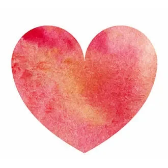 Genetically diverse mice show human-like responses to heart attack